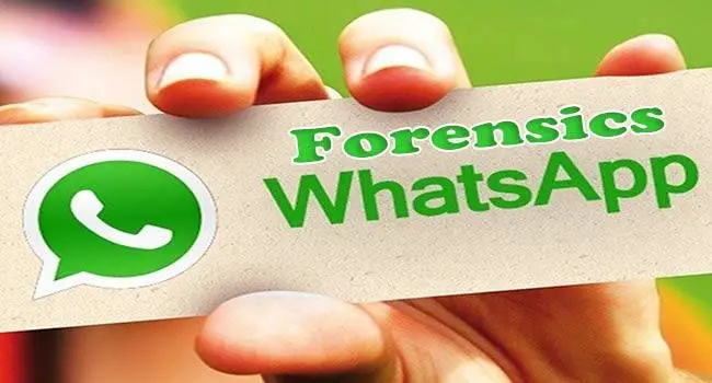 Usi WhatsApp ? Attenzione ! Tutto quello che invii e ricevi diventa legale come una raccomandata con ricevuta di ritorno