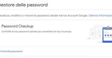 Google Password Checkup : nuova funzione di google per controllare la sicurezza delle password e sapere se sono state compromesse