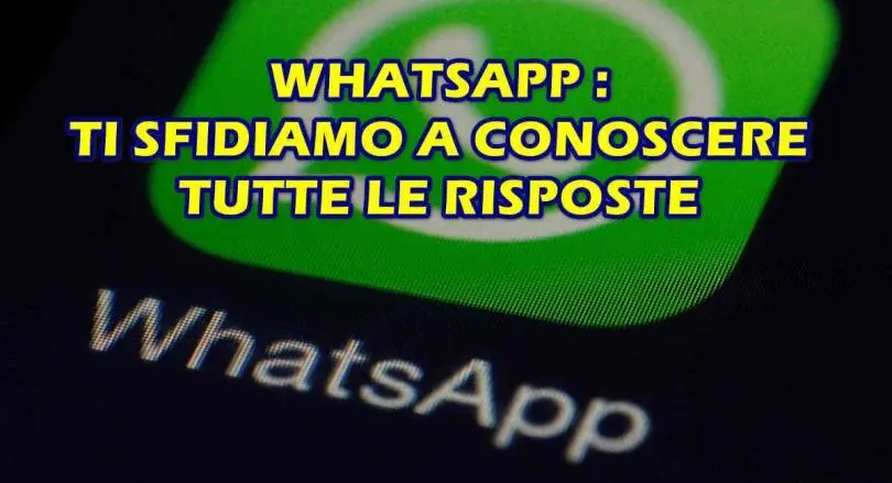 WHATSAPP : TI SFIDIAMO A CONOSCERE TUTTE LE RISPOSTE